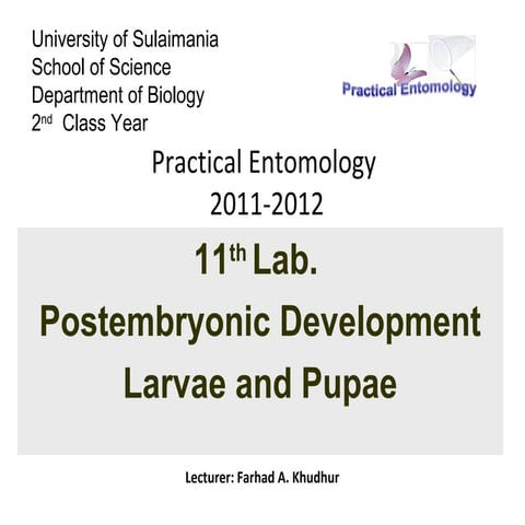 Lab11 entomology