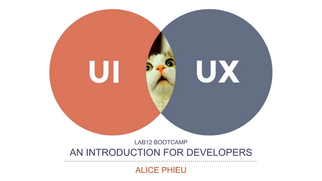 Alice Phieu - UI/UX  For Developers