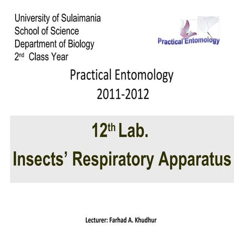 Lab12 entomology (1)