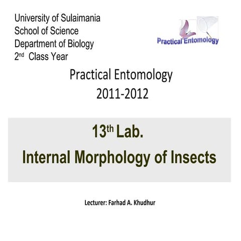 Lab13 entomology