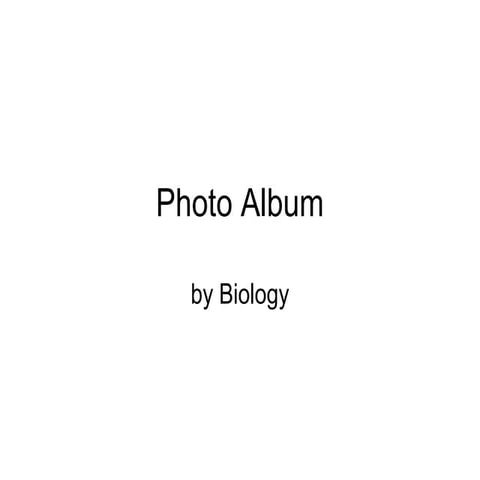 Bio 2 - Lab 1 Photos