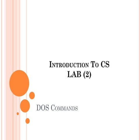 lab2.pptx.pdf