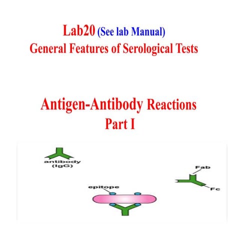lab 20 - serological immunoassay medical students | PPTX