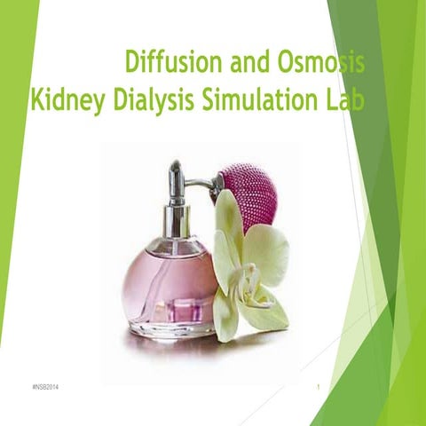 Lab 3   diffusion and osmosis fall 2014