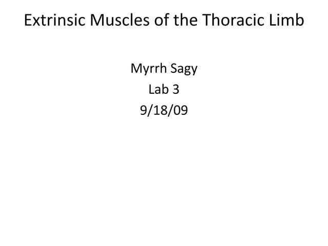 Lab 3 Extrisic Muscles Quiz