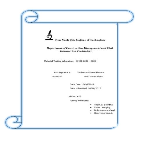 Timber and steel flexure 