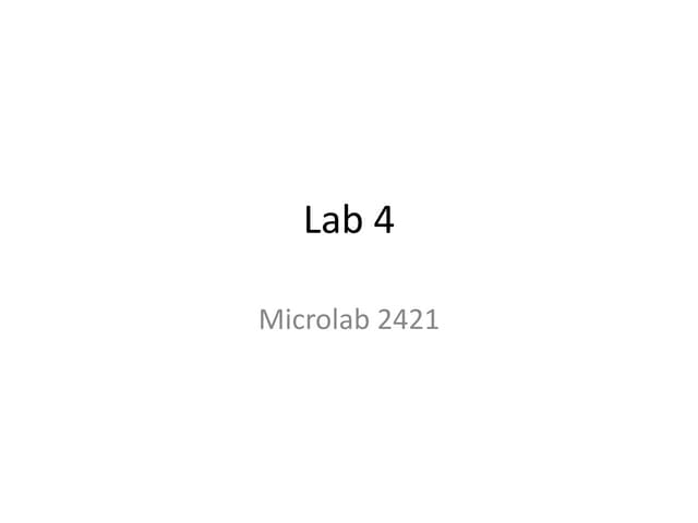 Lab 4