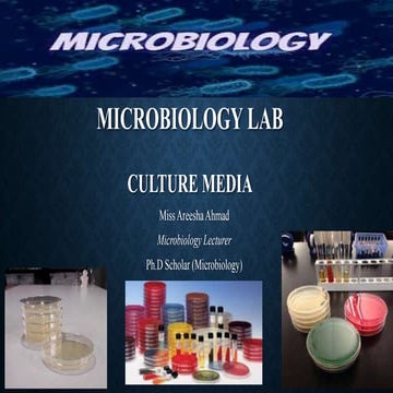 GBSN - Microbiology (Lab 4) Culture Media