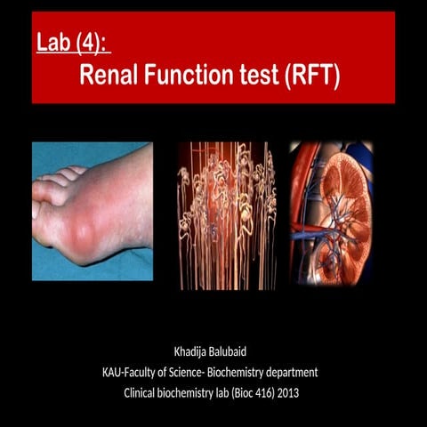 Kidney function test (Renal function test)