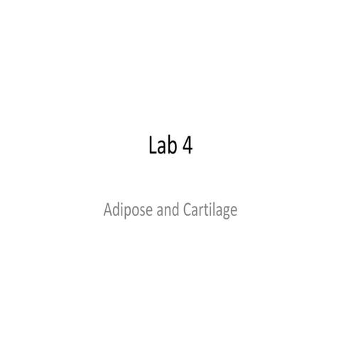 Lab 4 slides | PPT