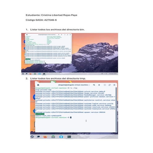 Comandos basicos linux mint | PDF