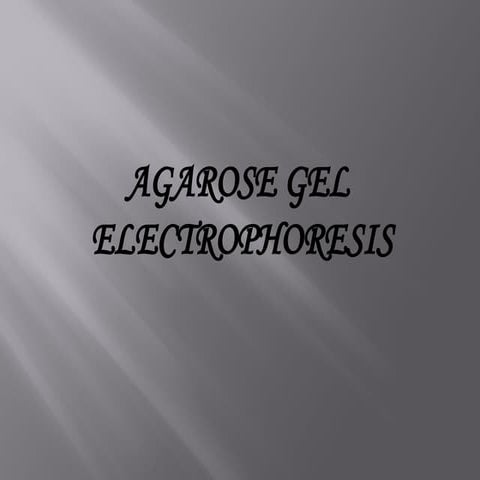 Lab5_Gel electrophoresispppppp000000.ppt