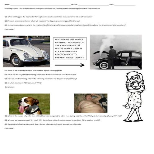 Lab activity 1 20122013