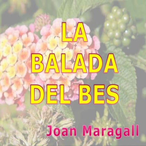 La balada del bes
