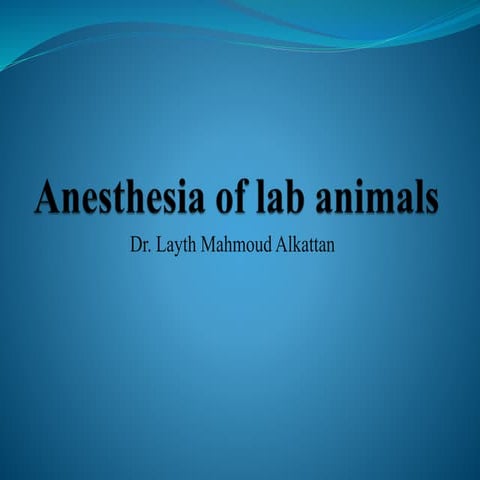Lab animals anesthesia