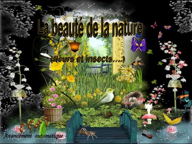 La beauté de la nature  (fleurs et ...