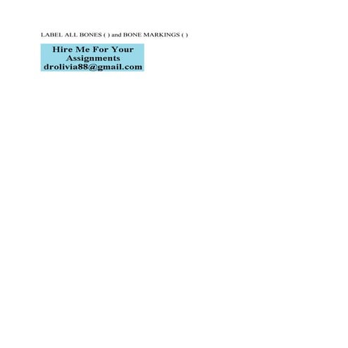 LABEL ALL BONES () and BONE MARKINGS ().pdf