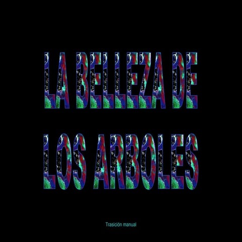 ¡LA BELLEZA DE LOS ARBOLES!