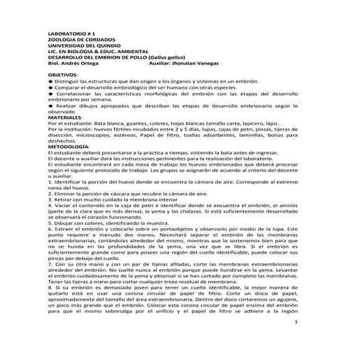 Laboratorio embriologia del Pollo