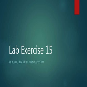 Anatomy Lab exercise 15 