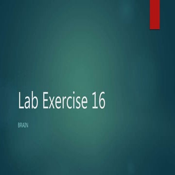 Anatomy Lab exercise 16 