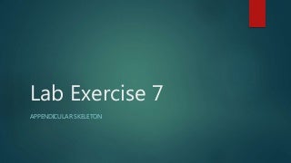 'appendicular skeleton' on SlideShare