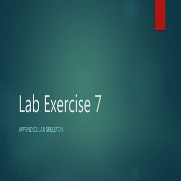 Anatomy Lab exercise 7