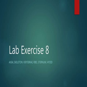 Anatomy Lab exercise 8 