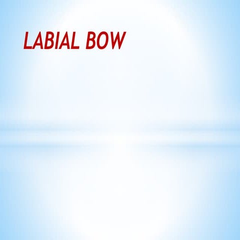 Labial bows