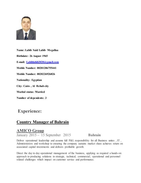 Labib Megallaa presentations