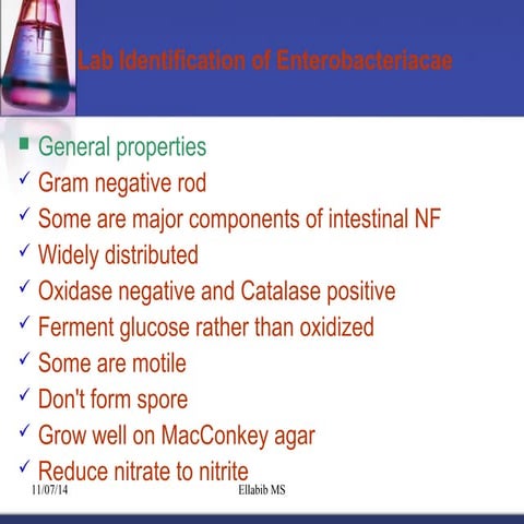 Lab identification of enterobacteriacae