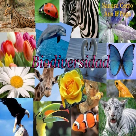 La biodiversidad