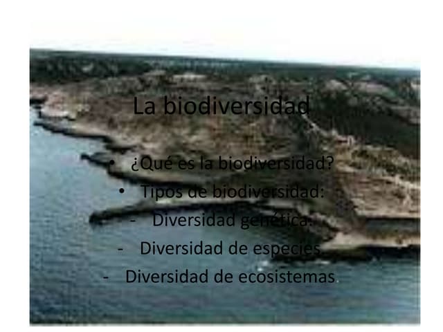 La biodiversidad diapositiva1