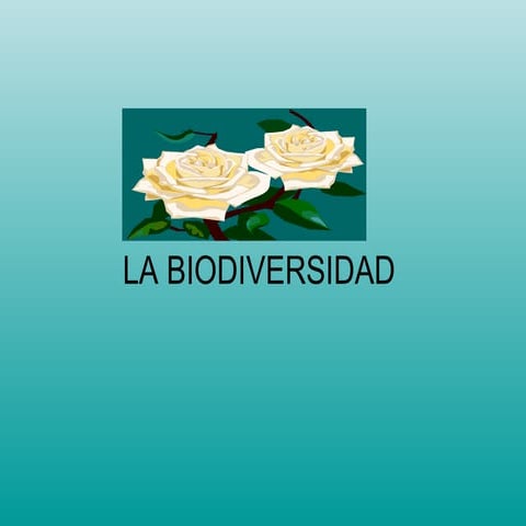 La biodiversidad diapositivas