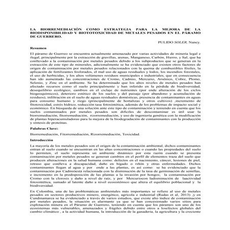 La biorremediación como estrategia para la mejora de la biodisponibilidad y b...