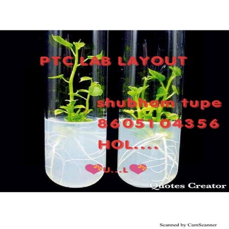 Lab layout ptc | PDF