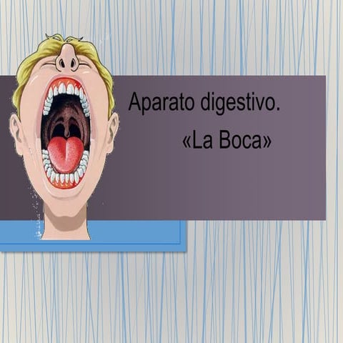 La boca "anatomía y fisiología"
