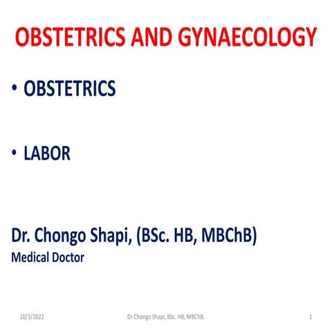 Labor.pdf