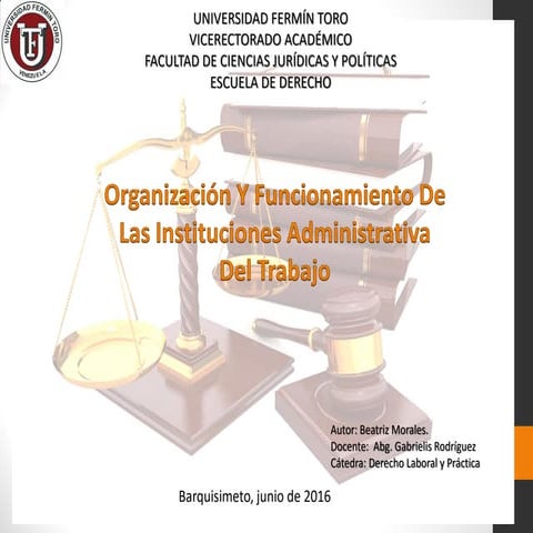 Organización Y Funcionamiento De Las Instituciones Administrativa Del Trabajo