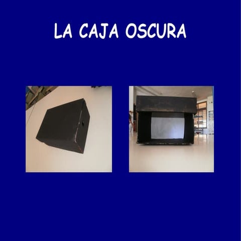 La caja oscura