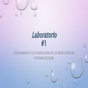 Juego Didáctico Serpientes y Escaleras para Aprender Biodiversidad en ...