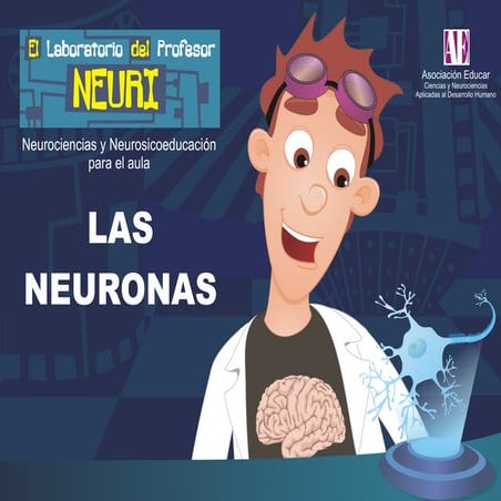 Laboratorio neuri-las-nuronas | PDF