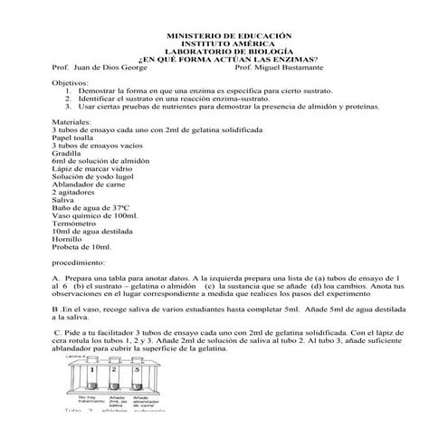 Laboratorio de enzimas