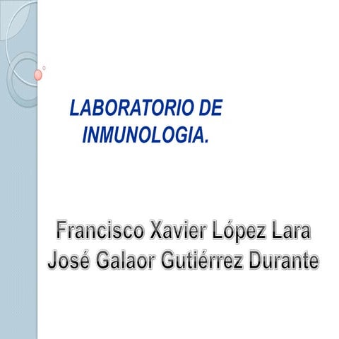VELOCIDAD DE SEDIMENTACION GLOBULAR (VSG) | DOCX