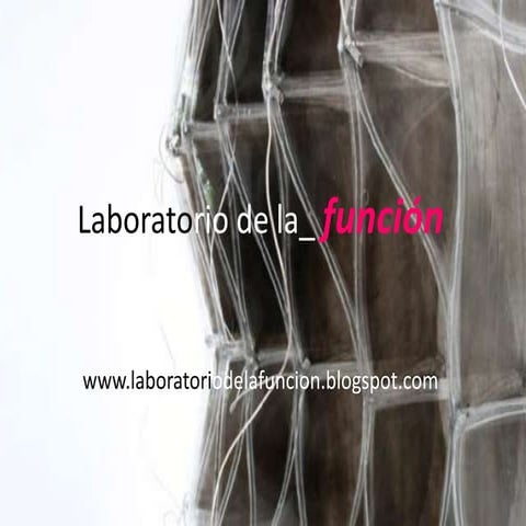 Laboratorio de la funcion / laboratorio de diseño