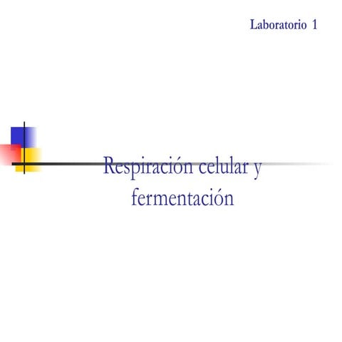Laboratorio respiración celular