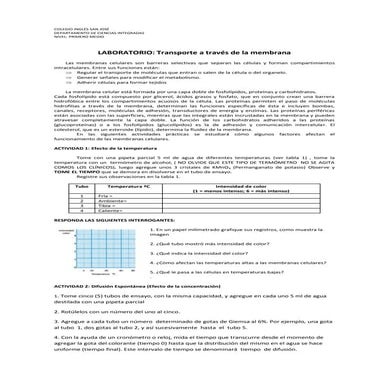 Laboratorio transporte