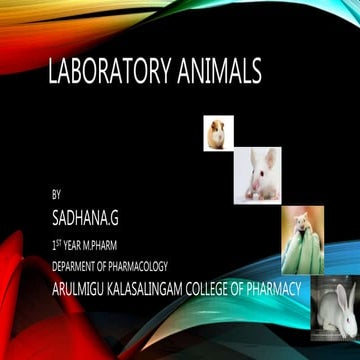 LABORATORY ANIMALS