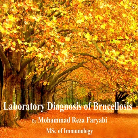 Laboratory diagnosis of brucellosis