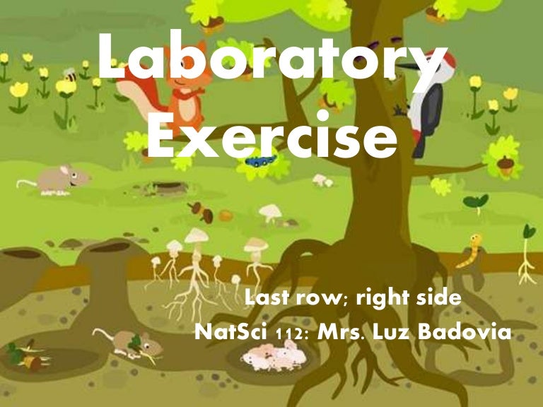 Laboratory exercise